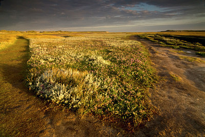 BUITEN BEELD Foto: 64784