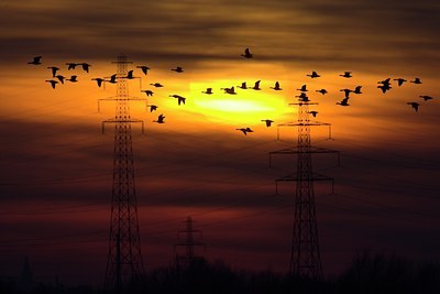 BUITEN BEELD Foto: 64803