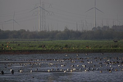 BUITEN BEELD Foto: 64809