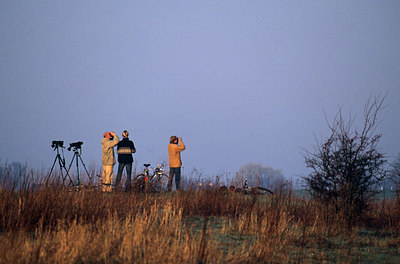 BUITEN BEELD Foto: 64815