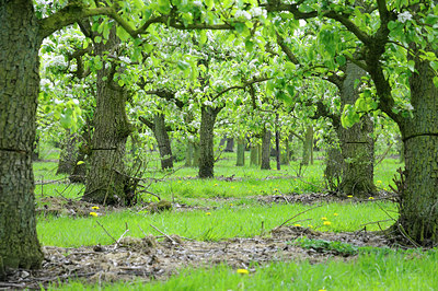 BUITEN BEELD Foto: 64821