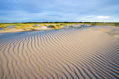 BUITEN BEELD Foto: 64829