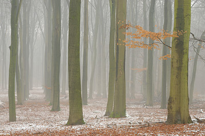 BUITEN BEELD Foto: 64830