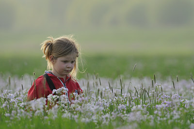 BUITEN BEELD Foto: 64841