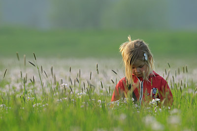 BUITEN BEELD Foto: 64842