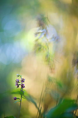 BUITEN BEELD Foto: 64844