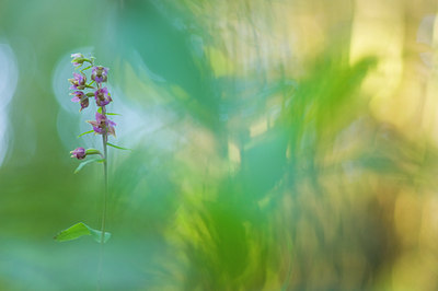BUITEN BEELD Foto: 64848