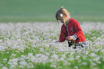 BUITEN BEELD Foto: 64850
