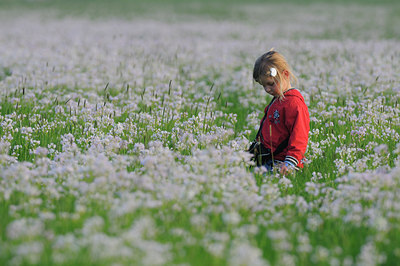 BUITEN BEELD Foto: 64852