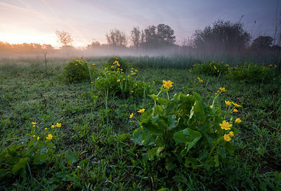 BUITEN BEELD Foto: 64904