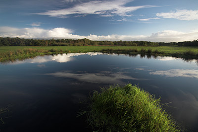 BUITEN BEELD Foto: 64911