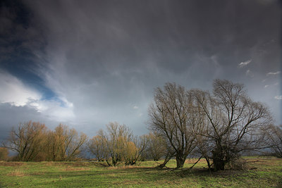 BUITEN BEELD Foto: 64914