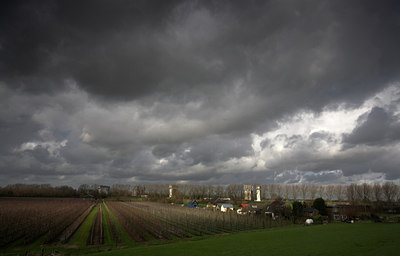 BUITEN BEELD Foto: 64917
