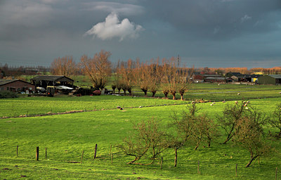 BUITEN BEELD Foto: 64919