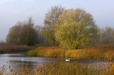 BUITEN BEELD Foto: 64924