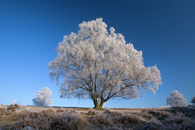 BUITEN BEELD Foto: 64926