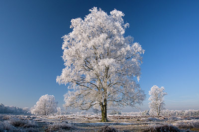 BUITEN BEELD Foto: 64928