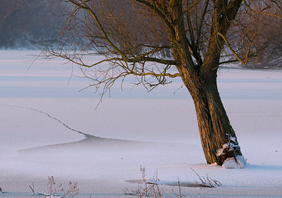 BUITEN BEELD Foto: 64930