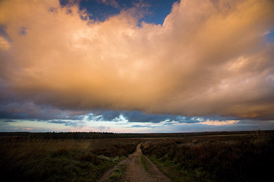 BUITEN BEELD Foto: 64985