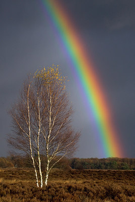 BUITEN BEELD Foto: 64986