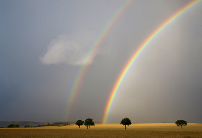 BUITEN BEELD Foto: 64989