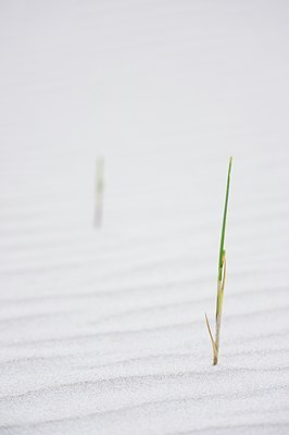 BUITEN BEELD Foto: 65011