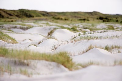 BUITEN BEELD Foto: 65012