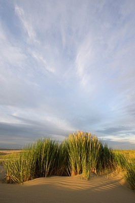 BUITEN BEELD Foto: 65014