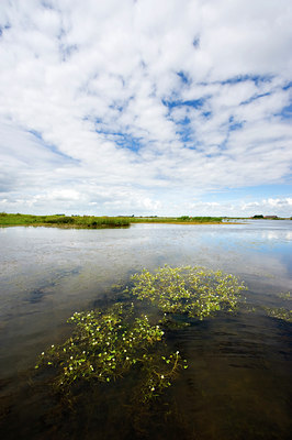 BUITEN BEELD Foto: 65021