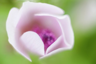 BUITEN BEELD Foto: 65023