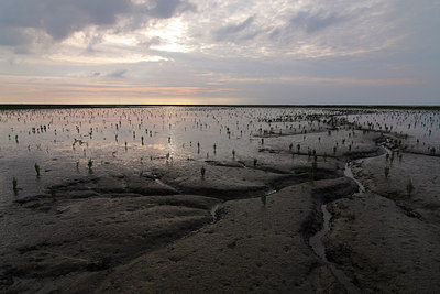 BUITEN BEELD Foto: 65041
