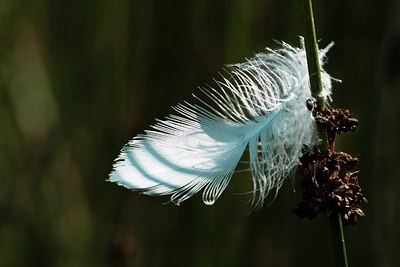 BUITEN BEELD Foto: 65082