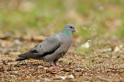 BUITEN BEELD Foto: 65220