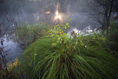 BUITEN BEELD Foto: 65276