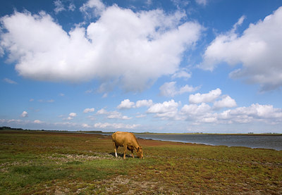 BUITEN BEELD Foto: 65298