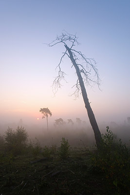 BUITEN BEELD Foto: 65301