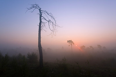 BUITEN BEELD Foto: 65302