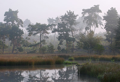 BUITEN BEELD Foto: 65305