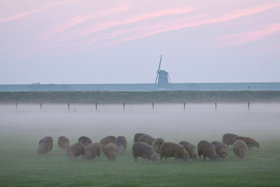 BUITEN BEELD Foto: 65308
