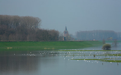 BUITEN BEELD Foto: 65348