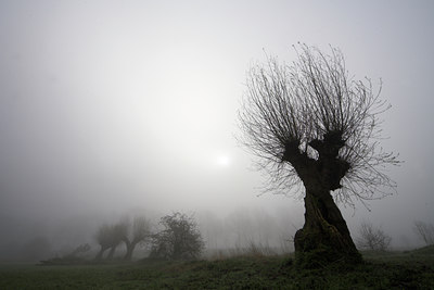 BUITEN BEELD Foto: 65349