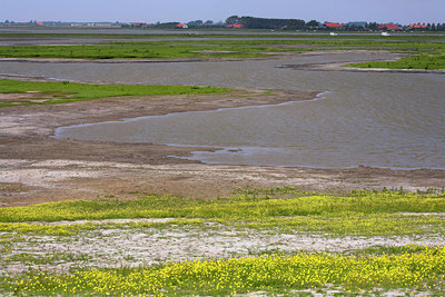 BUITEN BEELD Foto: 65354