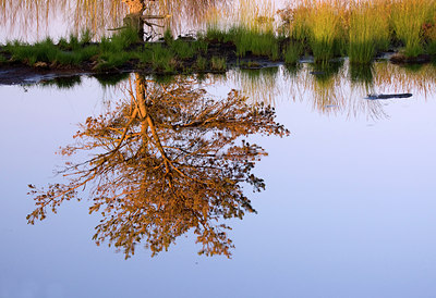 BUITEN BEELD Foto: 65373