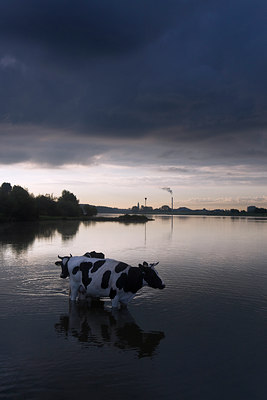 BUITEN BEELD Foto: 65384