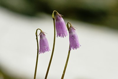 BUITEN BEELD Foto: 65399