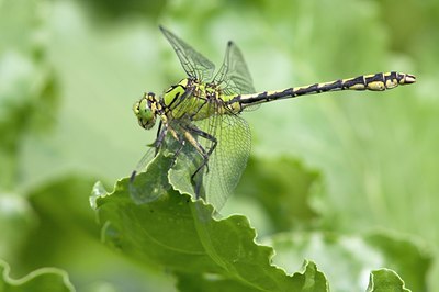 BUITEN BEELD Foto: 65415