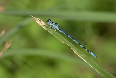 BUITEN BEELD Foto: 65421