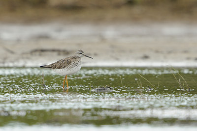 BUITEN BEELD Foto: 65441