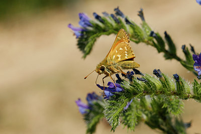 BUITEN BEELD Foto: 65449