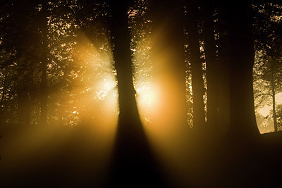 BUITEN BEELD Foto: 65527